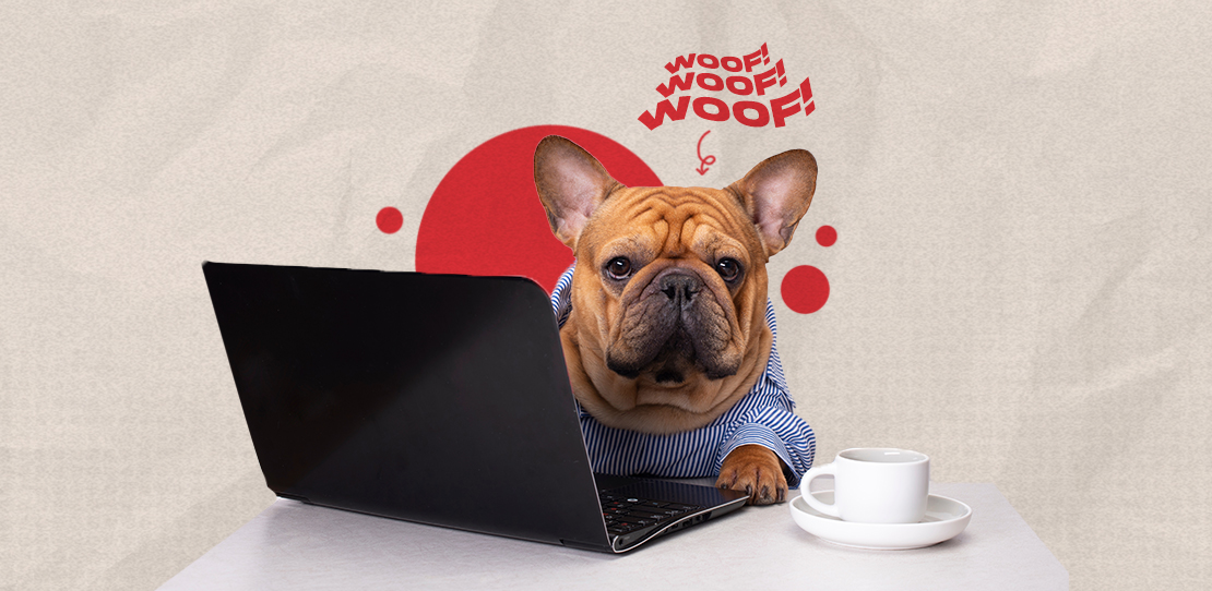 AB_Turn Your Space Into a Pet-Friendly Smart Home With These Devices