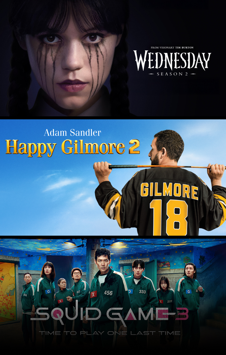 Netflix banner
