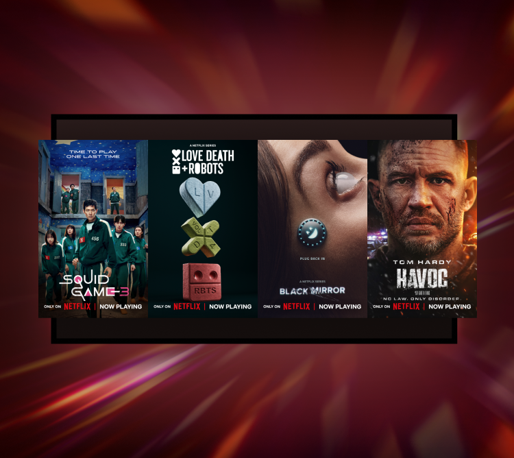 Netflix page banner