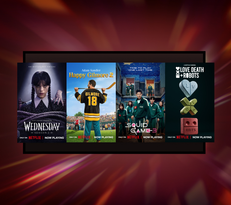 Netflix page banner