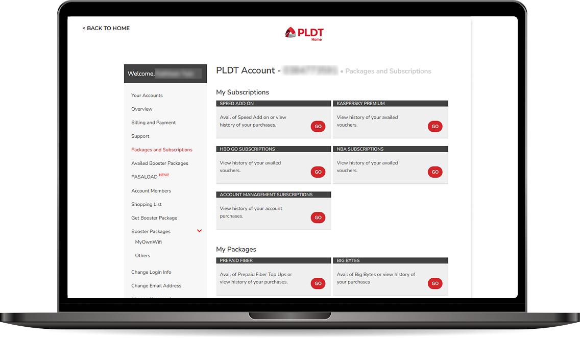 PLDT Home