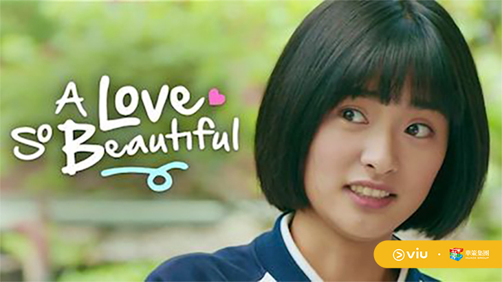 A Love So Beautiful VIU